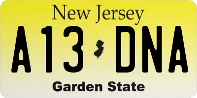 NJ license plate A13DNA