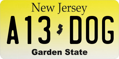 NJ license plate A13DOG