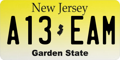 NJ license plate A13EAM
