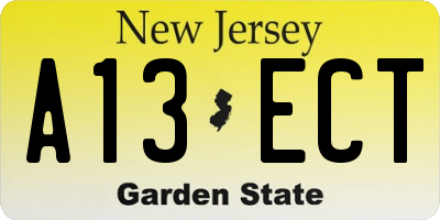 NJ license plate A13ECT