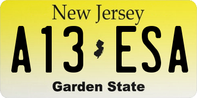 NJ license plate A13ESA