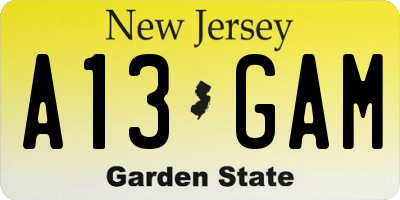 NJ license plate A13GAM