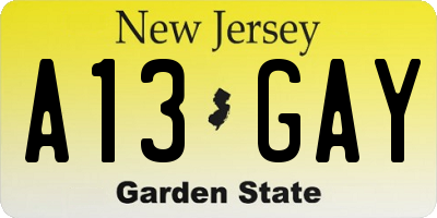 NJ license plate A13GAY