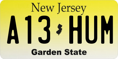 NJ license plate A13HUM