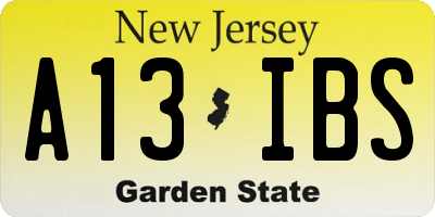 NJ license plate A13IBS