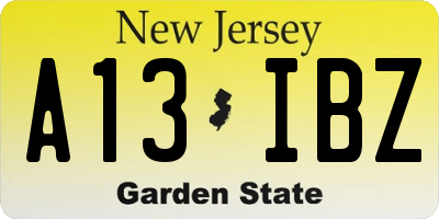 NJ license plate A13IBZ