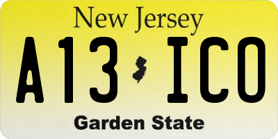 NJ license plate A13ICO