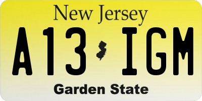 NJ license plate A13IGM