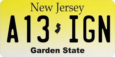 NJ license plate A13IGN