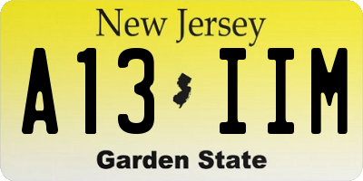 NJ license plate A13IIM
