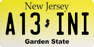 NJ license plate A13INI