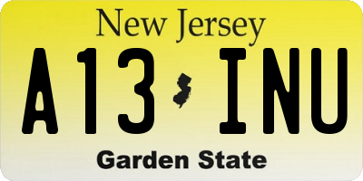 NJ license plate A13INU
