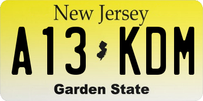 NJ license plate A13KDM