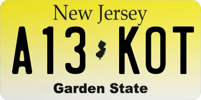 NJ license plate A13KOT