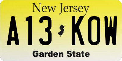 NJ license plate A13KOW