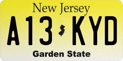 NJ license plate A13KYD