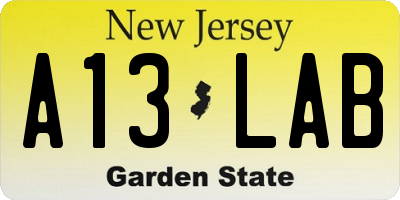 NJ license plate A13LAB
