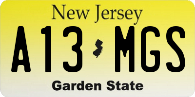 NJ license plate A13MGS