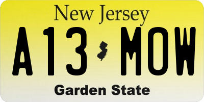 NJ license plate A13MOW