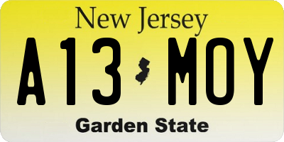 NJ license plate A13MOY