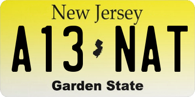NJ license plate A13NAT