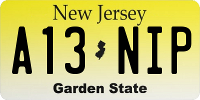 NJ license plate A13NIP