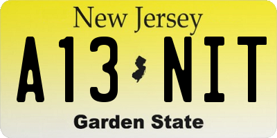 NJ license plate A13NIT