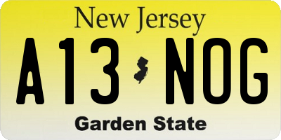 NJ license plate A13NOG