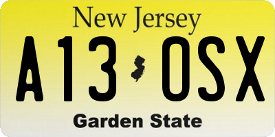 NJ license plate A13OSX