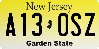NJ license plate A13OSZ