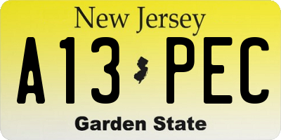 NJ license plate A13PEC