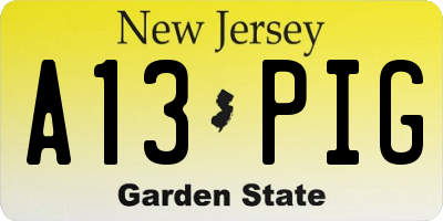 NJ license plate A13PIG