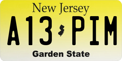 NJ license plate A13PIM