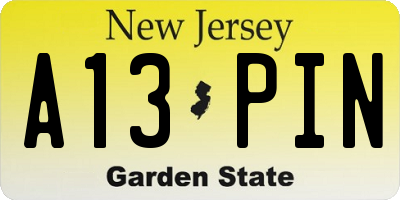 NJ license plate A13PIN