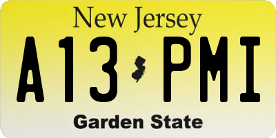 NJ license plate A13PMI