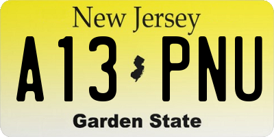 NJ license plate A13PNU
