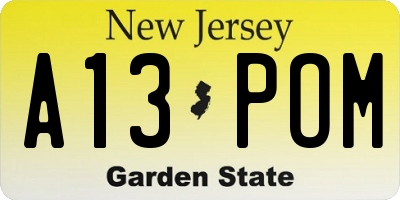 NJ license plate A13POM