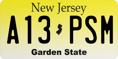 NJ license plate A13PSM