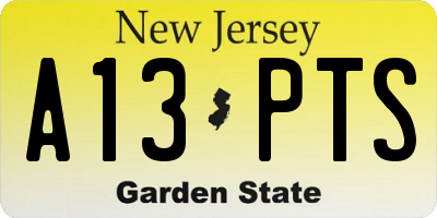 NJ license plate A13PTS