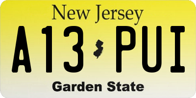 NJ license plate A13PUI