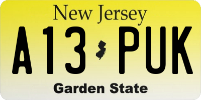 NJ license plate A13PUK