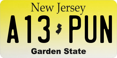NJ license plate A13PUN