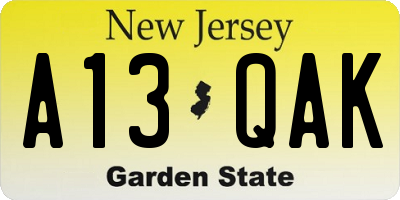 NJ license plate A13QAK