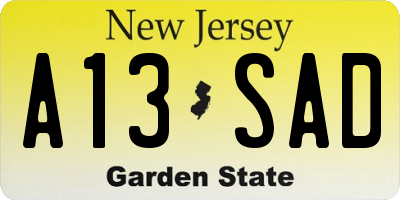NJ license plate A13SAD