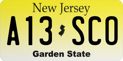 NJ license plate A13SCO