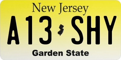 NJ license plate A13SHY