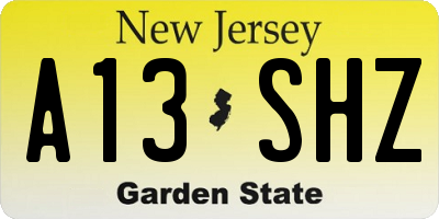 NJ license plate A13SHZ