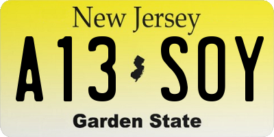 NJ license plate A13SOY