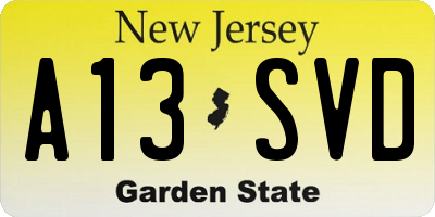 NJ license plate A13SVD