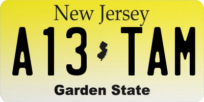 NJ license plate A13TAM
